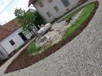 Bild "P6235862.JPG"